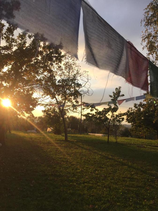 Happy Hill - Appartamento Quercia - Natura E Relax Santa Maria Rocca 外观 照片