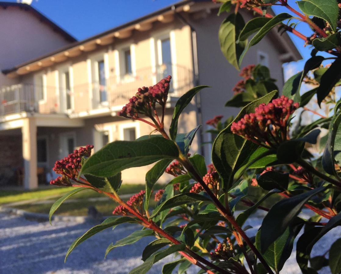 Happy Hill - Appartamento Quercia - Natura E Relax Santa Maria Rocca 外观 照片