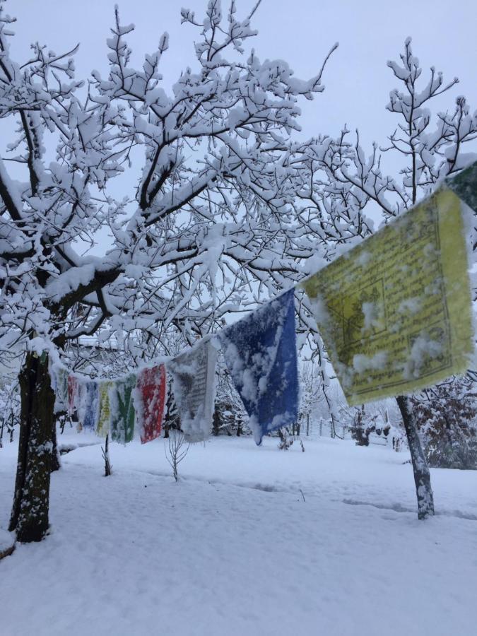 Happy Hill - Appartamento Quercia - Natura E Relax Santa Maria Rocca 外观 照片